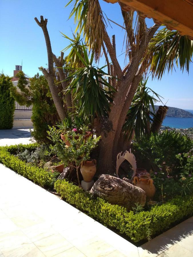 Gasthaus Saronic View Anavyssos Exterior foto